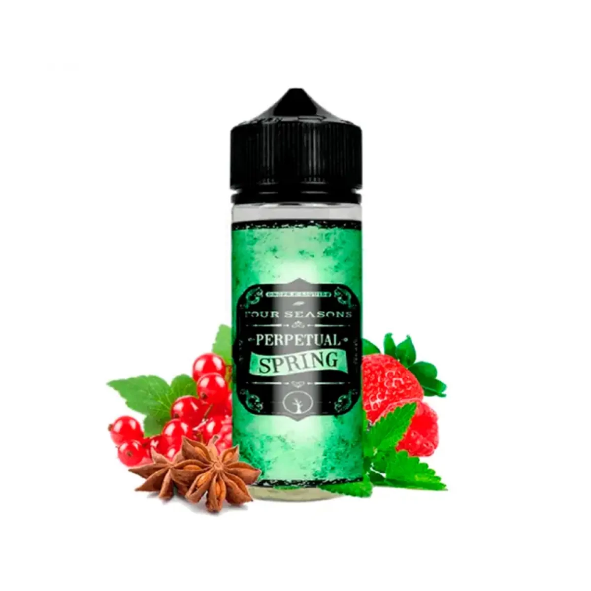 plantilla longfill 16ml